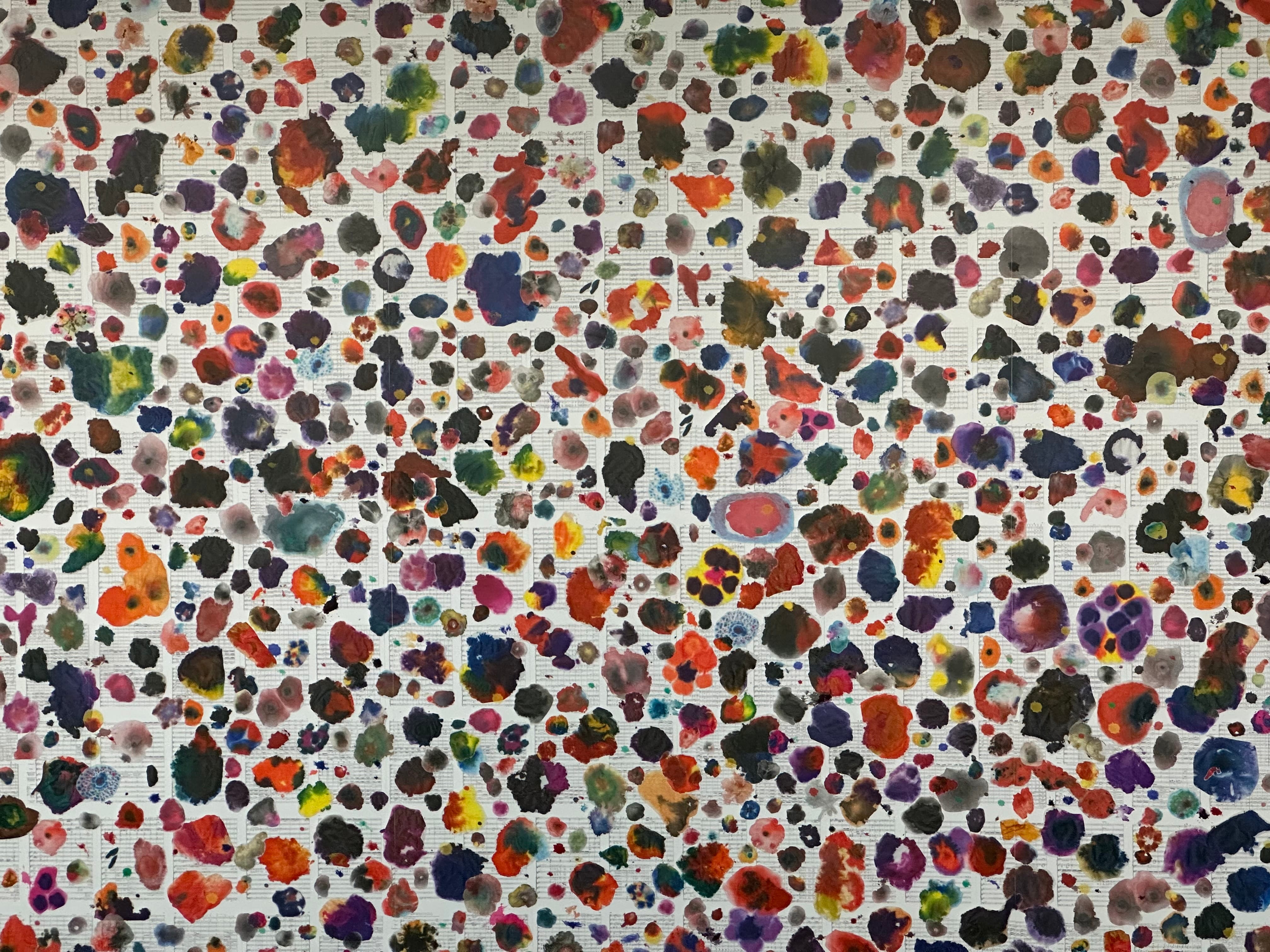 Travel to Maine: Ignite Your Adventure!